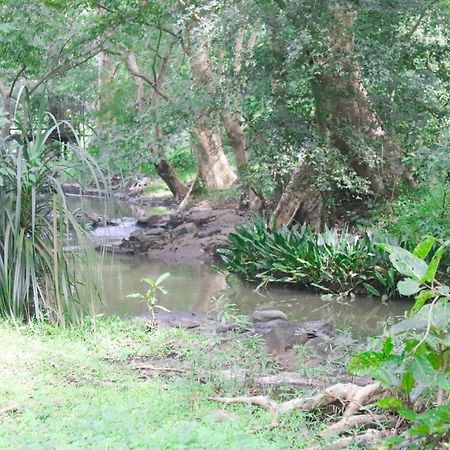 Nature Glow Cottage Udawalawe Ngoại thất bức ảnh