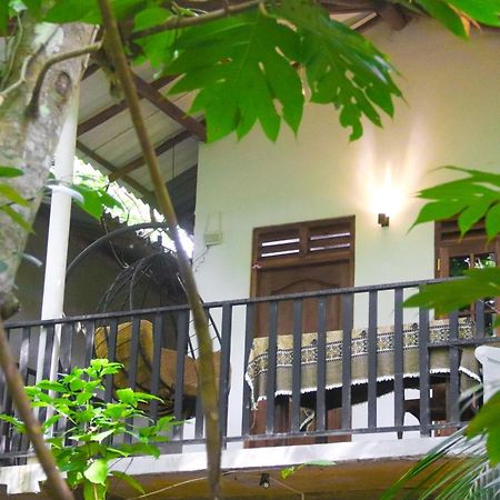 Nature Glow Cottage Udawalawe Ngoại thất bức ảnh