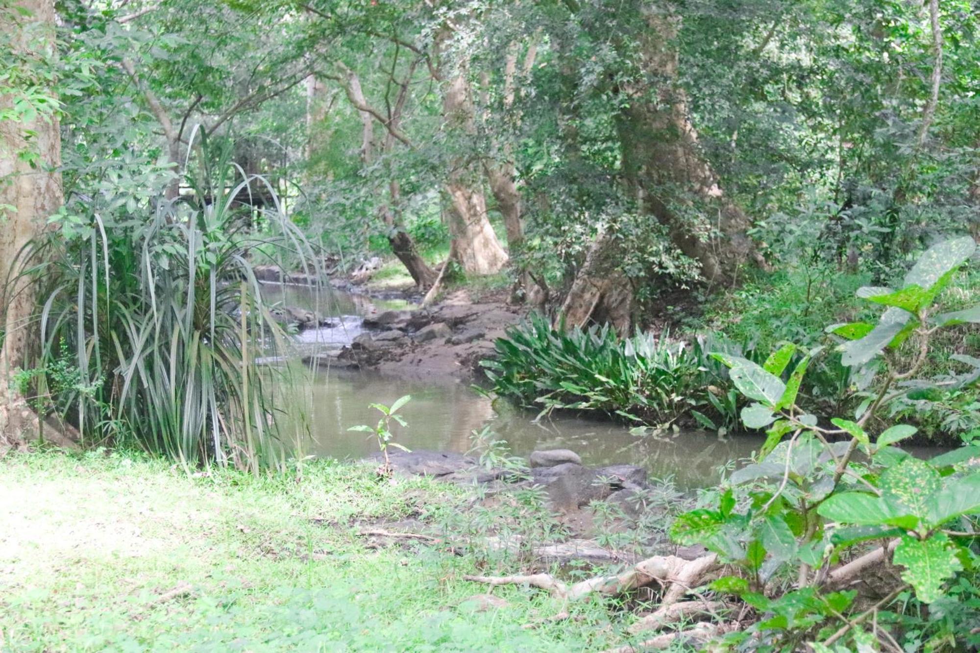 Nature Glow Cottage Udawalawe Ngoại thất bức ảnh