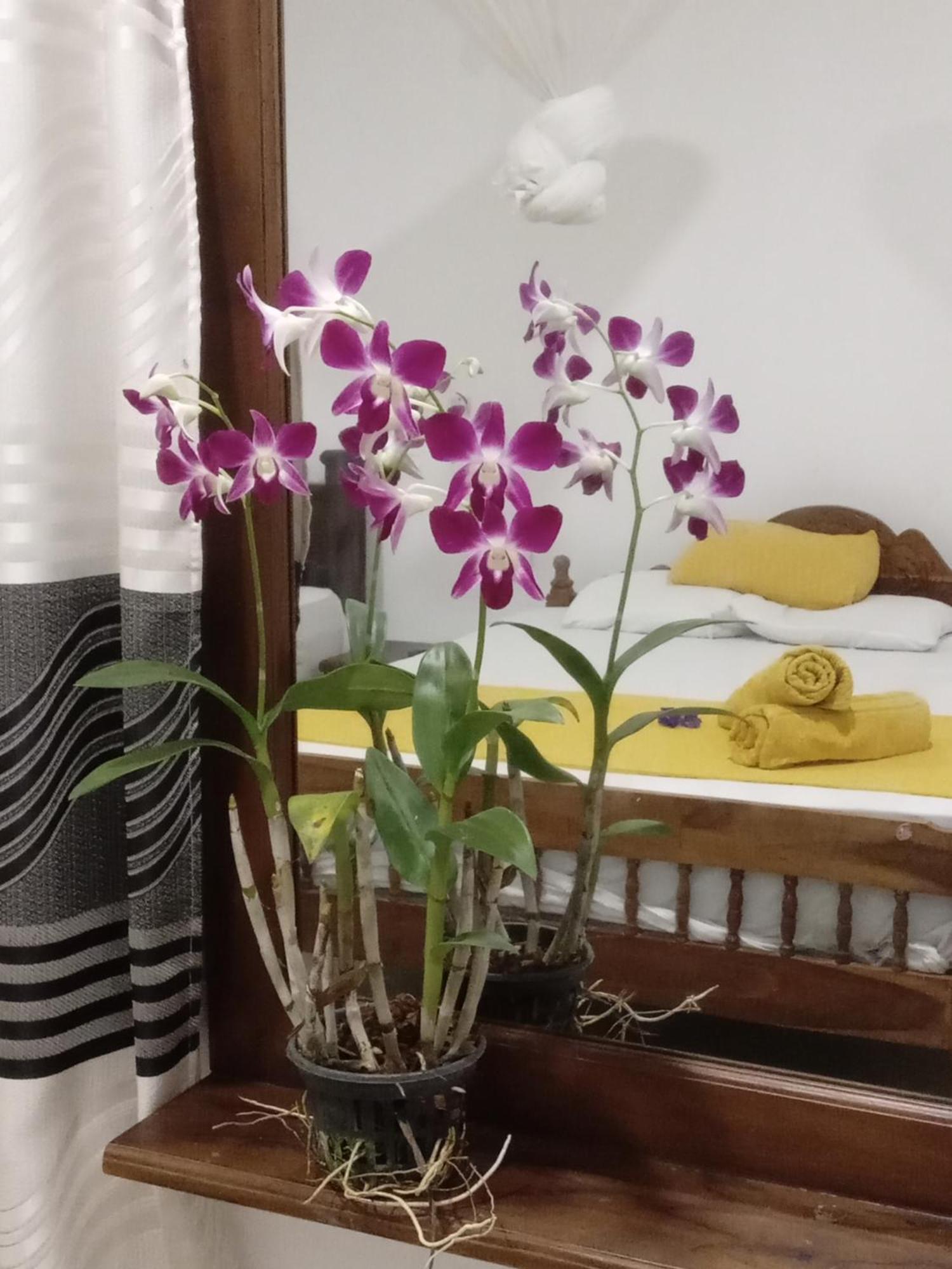 Nature Glow Cottage Udawalawe Ngoại thất bức ảnh