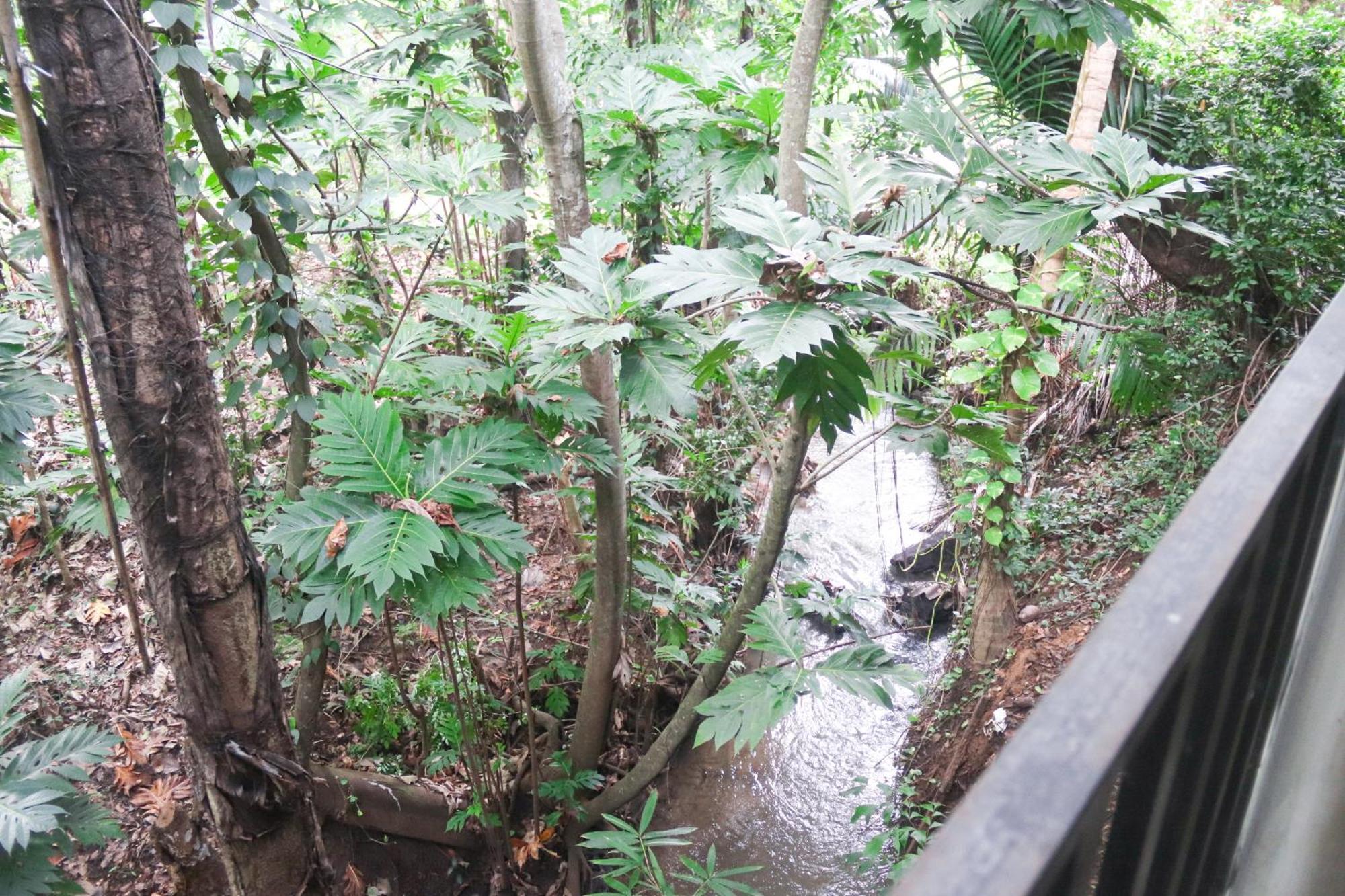 Nature Glow Cottage Udawalawe Ngoại thất bức ảnh