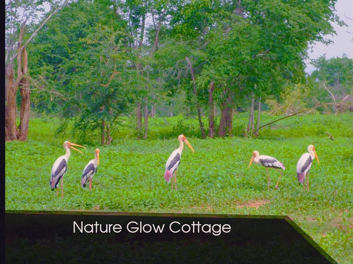 Nature Glow Cottage Udawalawe Ngoại thất bức ảnh
